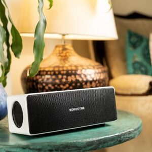 Sonodyne Antara 40 W Wireless Portable Bluetooth Speaker with True Stereo Sound, Upto 12 Hours Battery, Type-C Charging, IP65 Water & Dust Resistant (White)